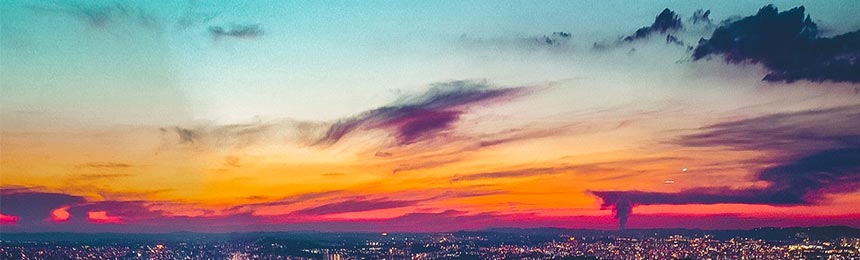 汉川茶虫网_汉川品茶